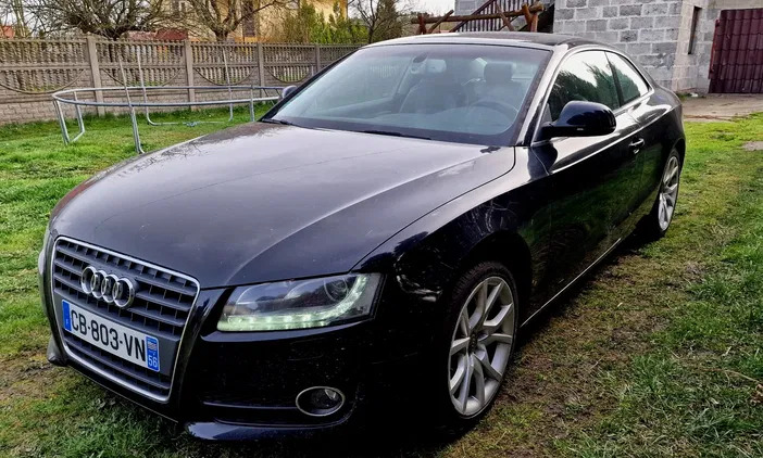 audi łódzkie Audi A5 cena 16000 przebieg: 219818, rok produkcji 2009 z Słupca